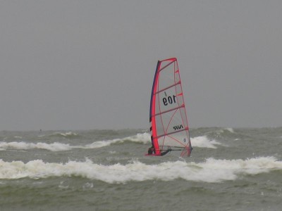 Resize of DSCN3567.JPG