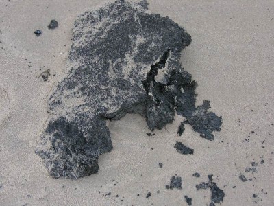 Resize of DSCN3571.JPG