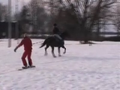 horse+snowboarding.jpg