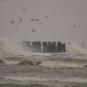 IMG_2448_resize