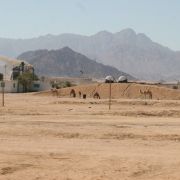 Sharm Sheikh