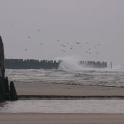 IMG_2559_resize