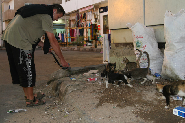 Sharm Sheikh