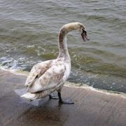 DSCN5619.JPG