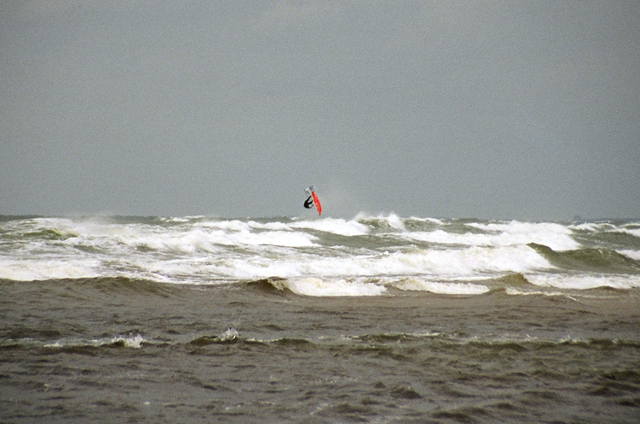 Marius. Backloop 2