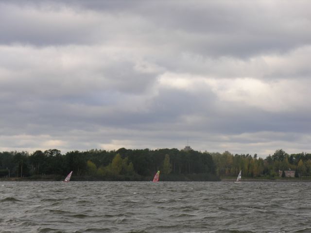 DSCN7081