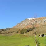 vieni