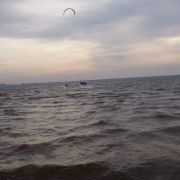 P1010049_resize