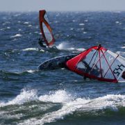IMG_4459_.jpg