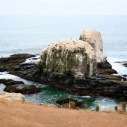 IMG_3341_.jpg