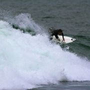 IMG_3387_.jpg
