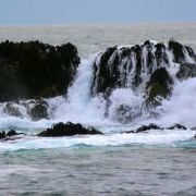 IMG_3389_.jpg