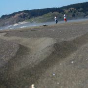 IMG_2883_.jpg
