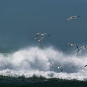 IMG_2960.jpg