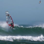 IMG_3039.jpg