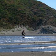 IMG_3762_.jpg