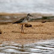 IMG_3186_.jpg