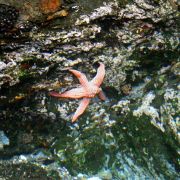 IMG_3276_.jpg