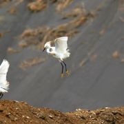 IMG_3292_.jpg