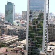 IMG_3515_.jpg