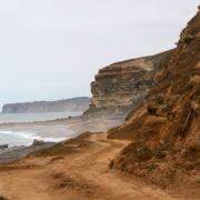 IMG_3620_.jpg