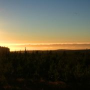 IMG_4241_.jpg
