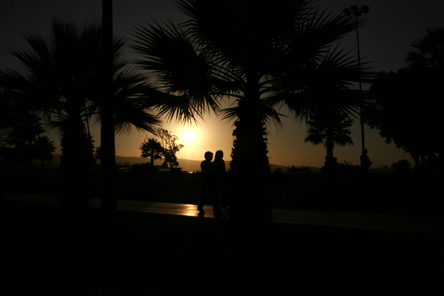 IMG_4424_.jpg