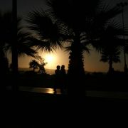 IMG_4424_.jpg