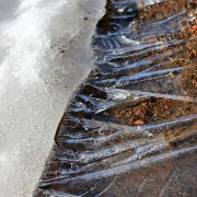 IMG_6031