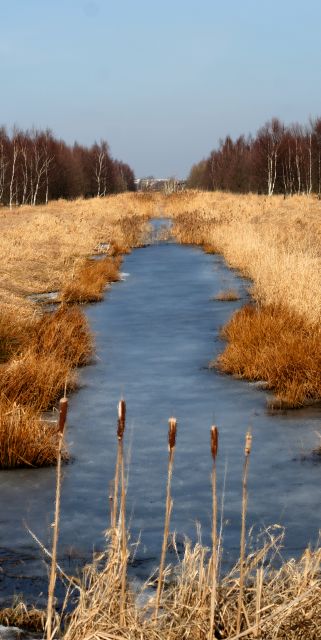 IMG_6065
