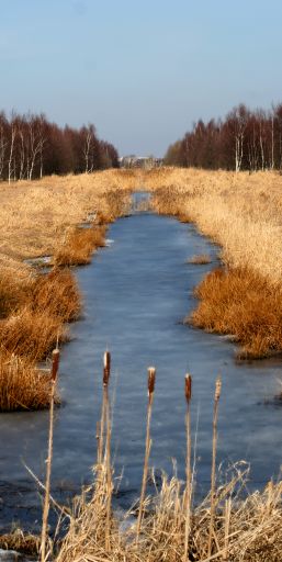 IMG_6065