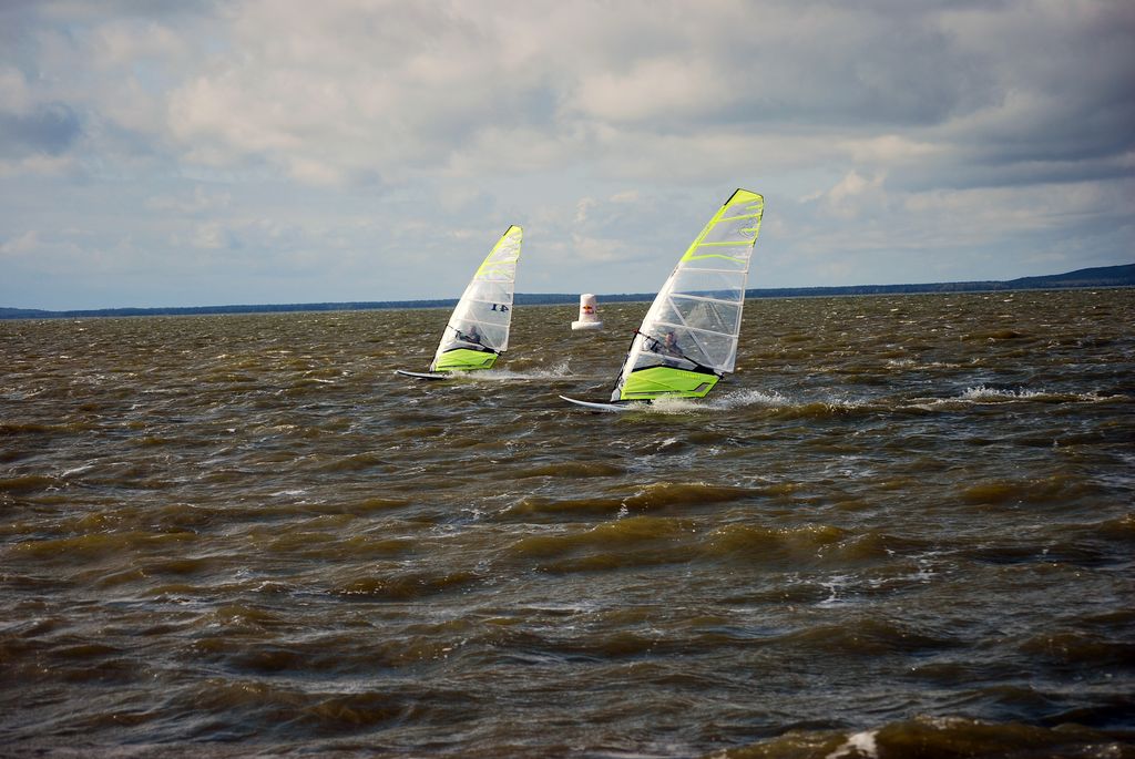 DSC_7842.jpg