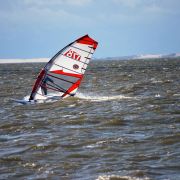 DSC_7808.jpg