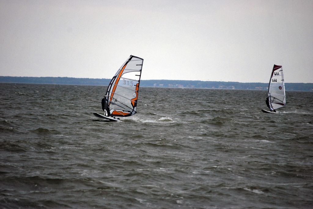 DSC_8195.jpg