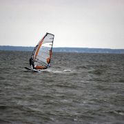 DSC_8195.jpg