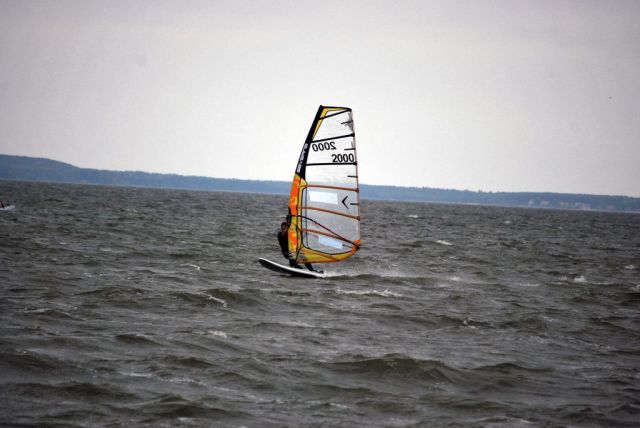 DSC_8198.jpg