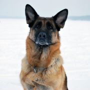 DSC_9177.jpg
