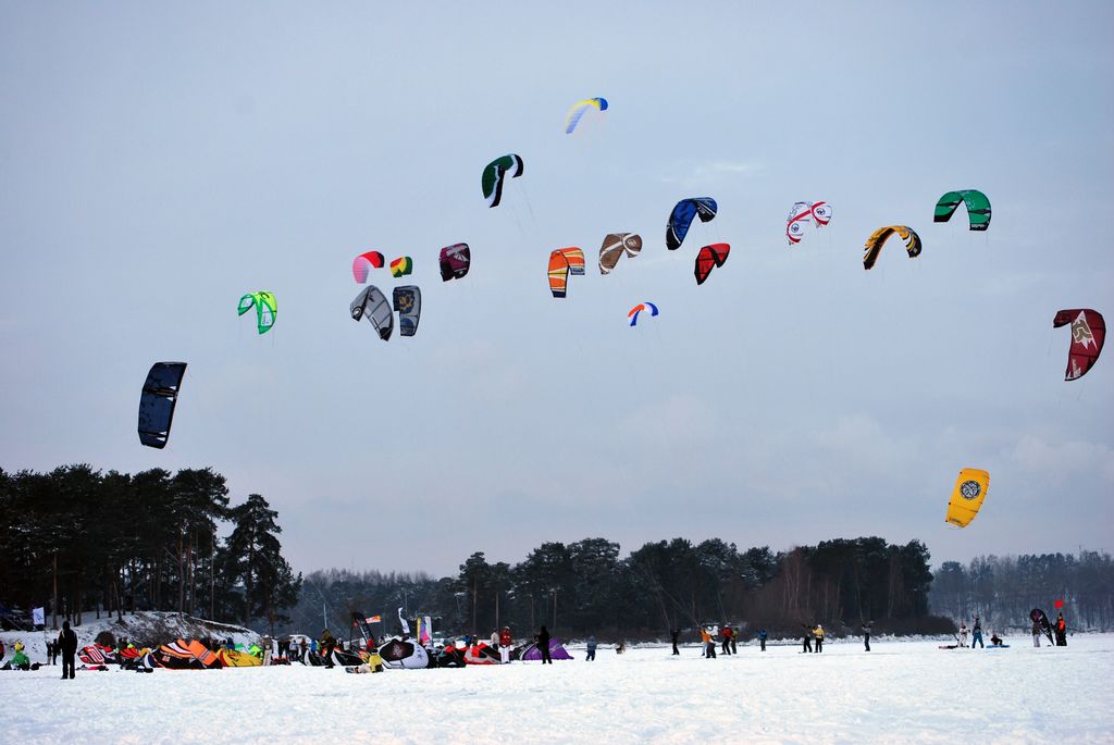 DSC_9505.jpg