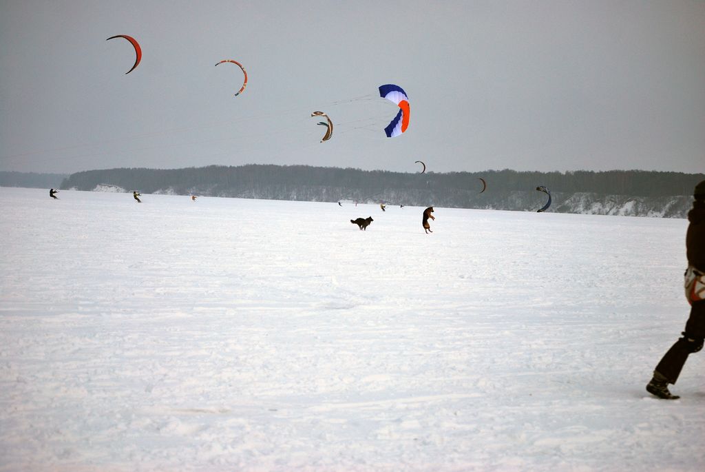 DSC_9533.jpg