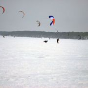 DSC_9533.jpg
