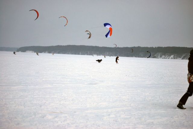 DSC_9533.jpg
