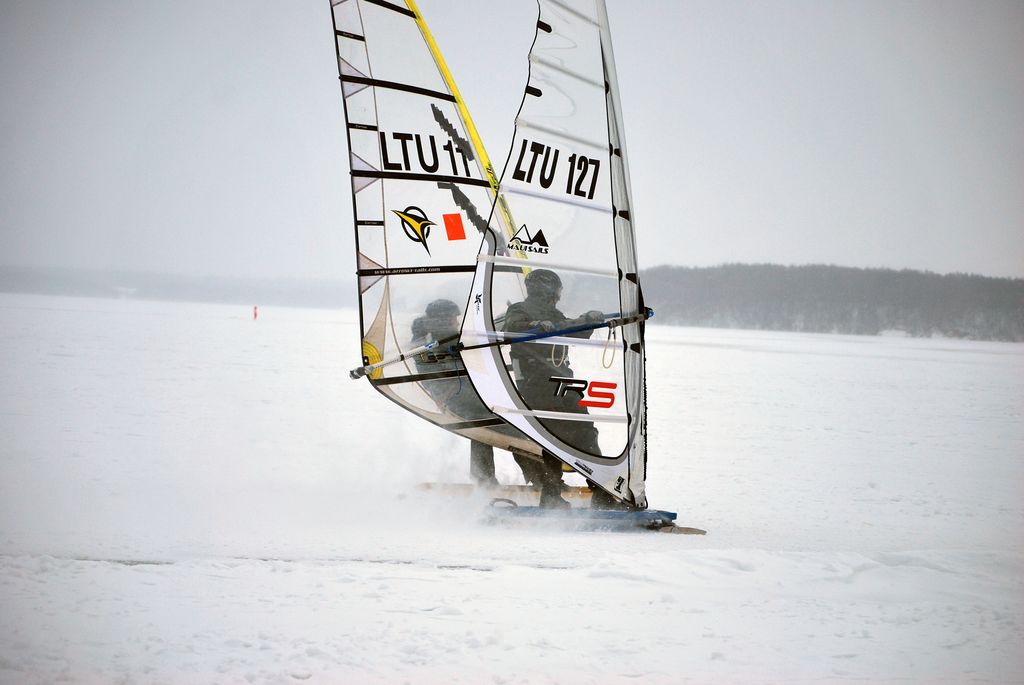 DSC_9805.jpg