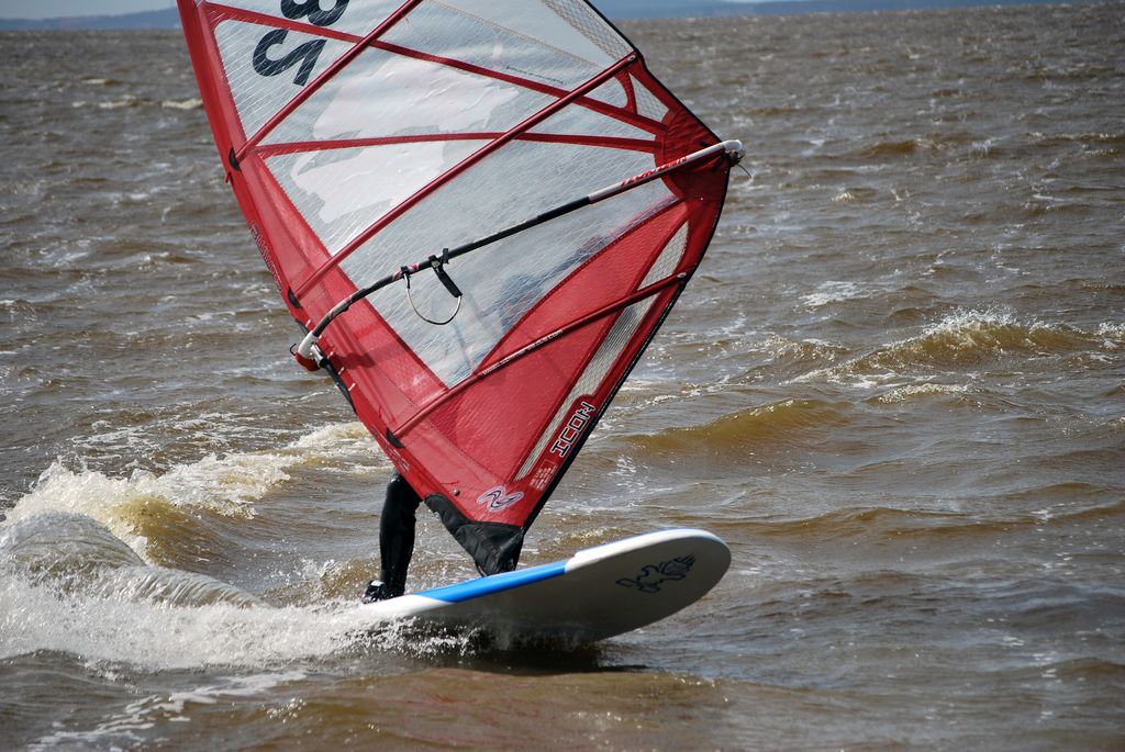 DSC_1901.jpg