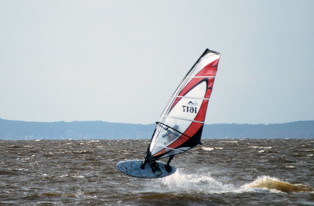 DSC_2005.jpg