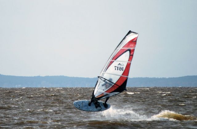 DSC_2005.jpg