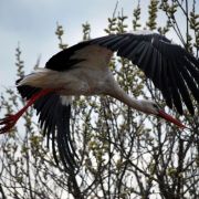 DSC_1693.jpg