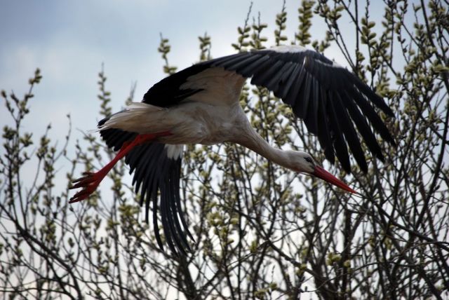 DSC_1693.jpg