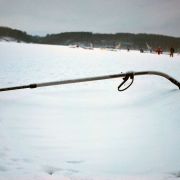 DSC_1345.JPG
