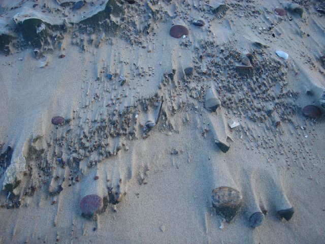 DSC00011.JPG