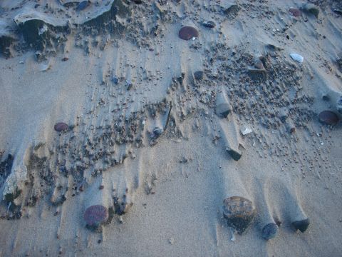 DSC00011.JPG